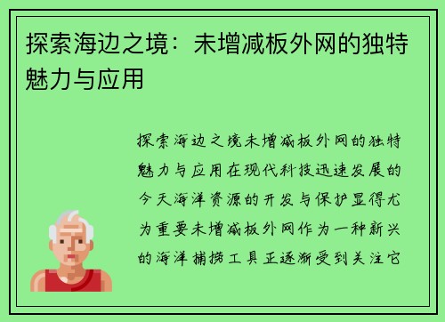 探索海边之境：未增减板外网的独特魅力与应用